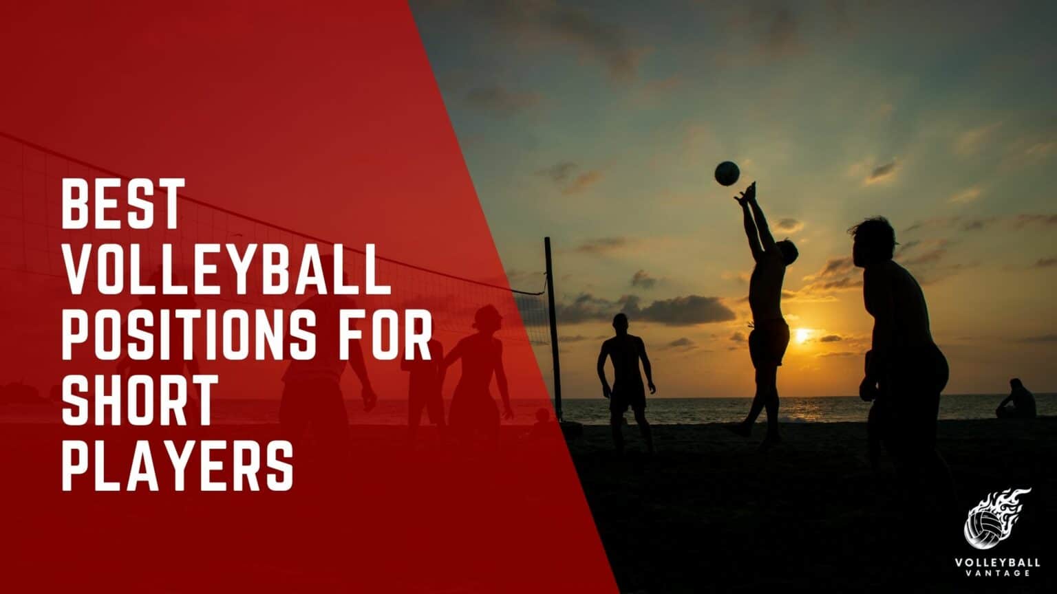 Best Volleyball Positions for Short Players: A Guide - Volleyball Vantage