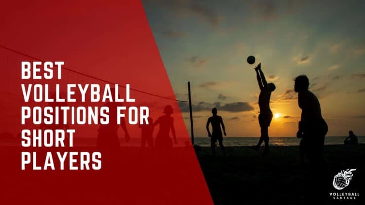 best volleyball positions for short players