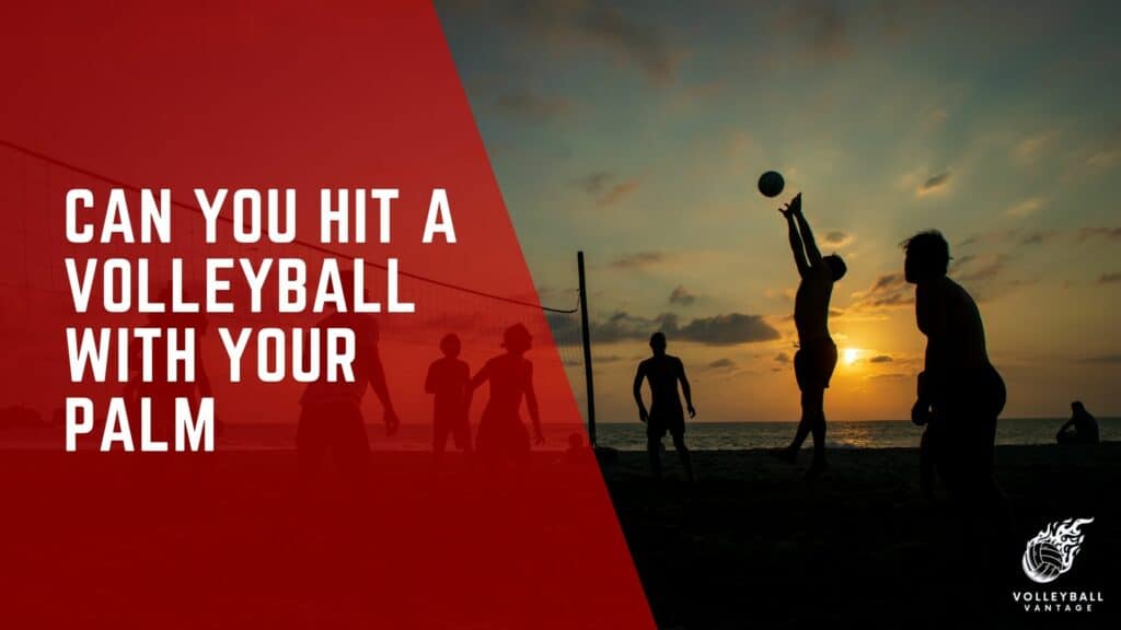 Can You Hit a Volleyball with Your Palm?" Decoding the Rules