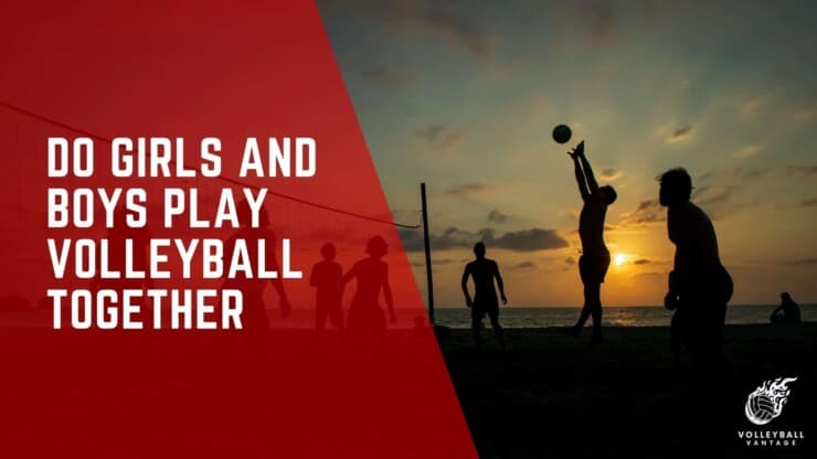do girls and boys play volleyball together