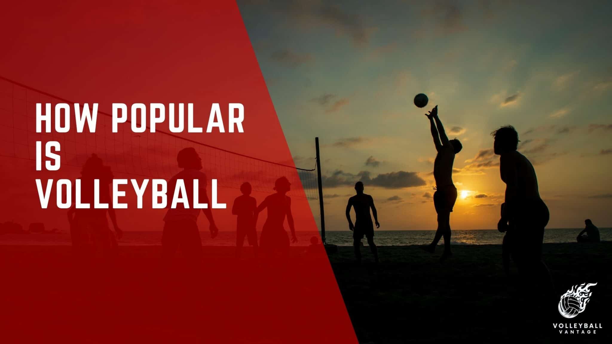 How Popular is Volleyball A Global Sport Analysis Volleyball Vantage