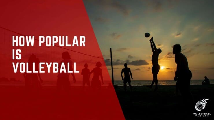 how popular is volleyball