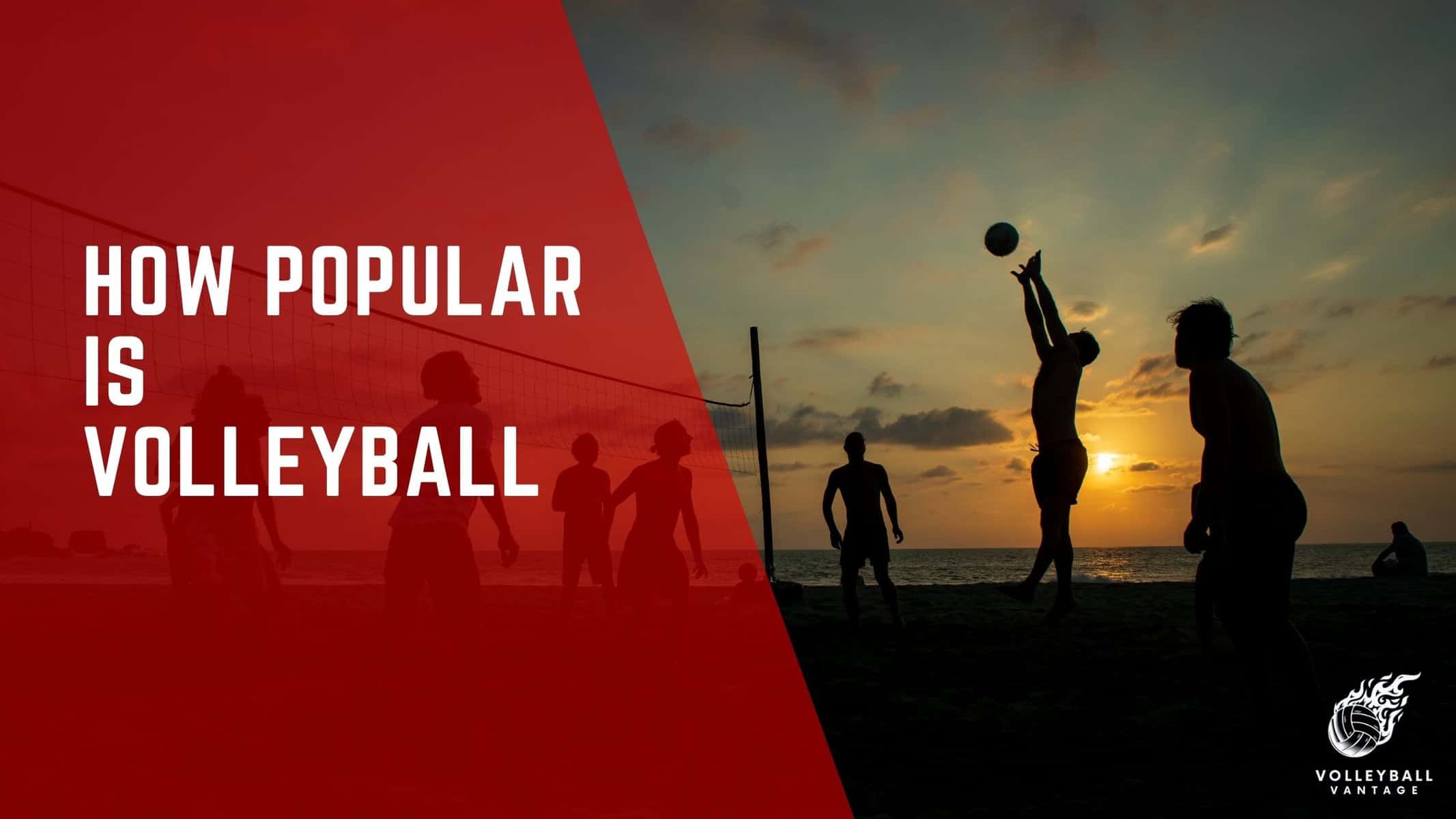 how popular is volleyball