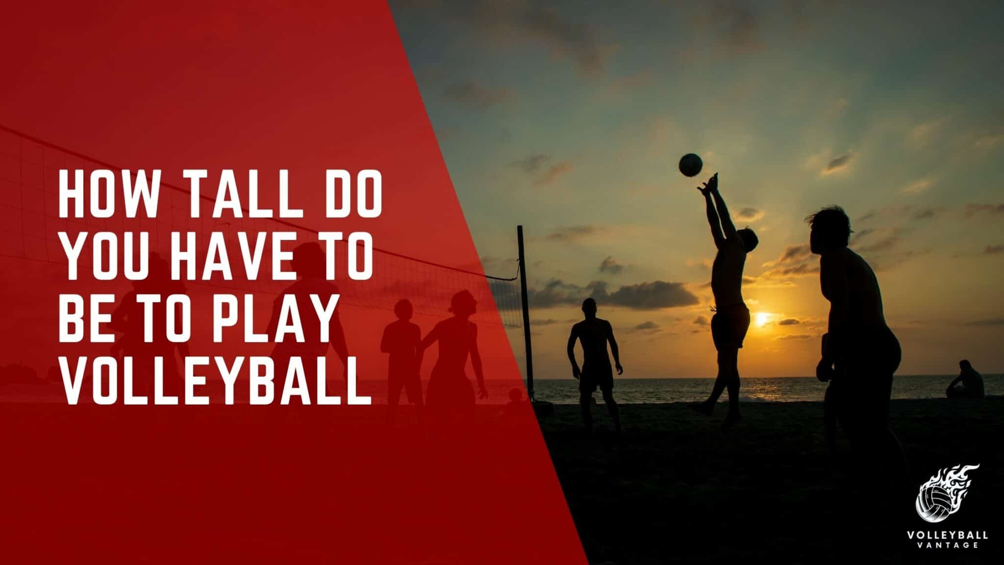 how-tall-do-you-have-to-be-to-play-volleyball-volleyball-vantage