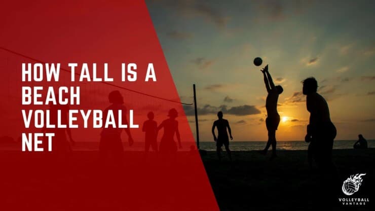 how tall is a beach volleyball net