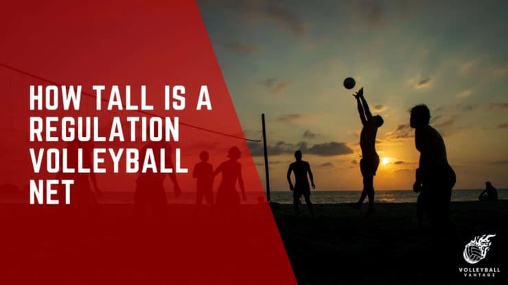 how tall is a regulation volleyball net