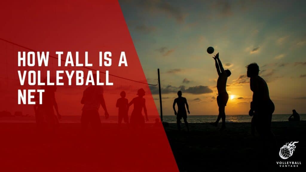 How tall is a volleyball net a detailed examination volleyball vantage