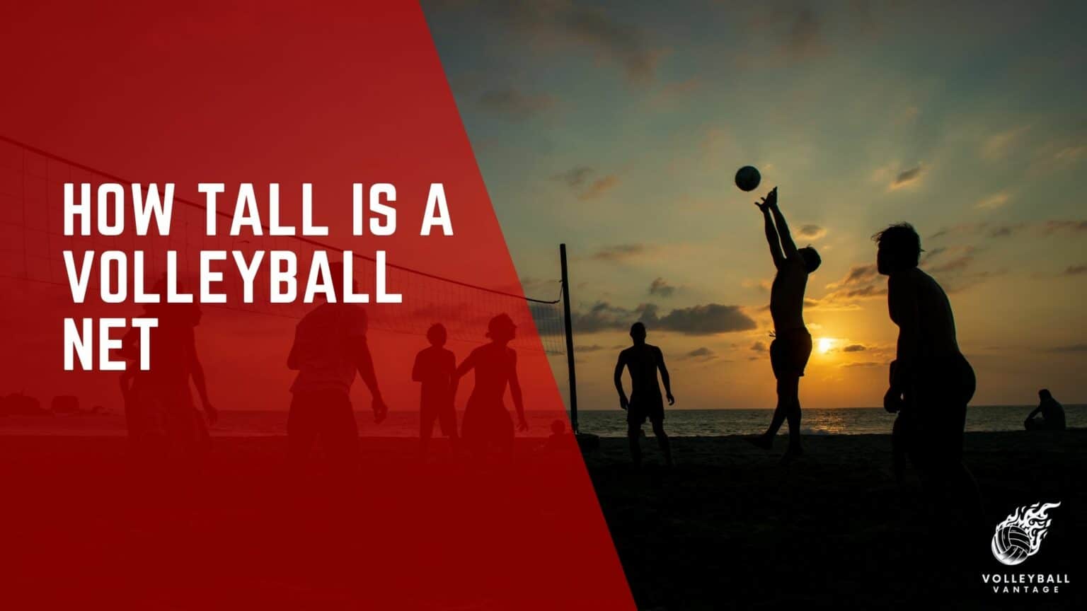 How tall is a volleyball net a detailed examination volleyball vantage