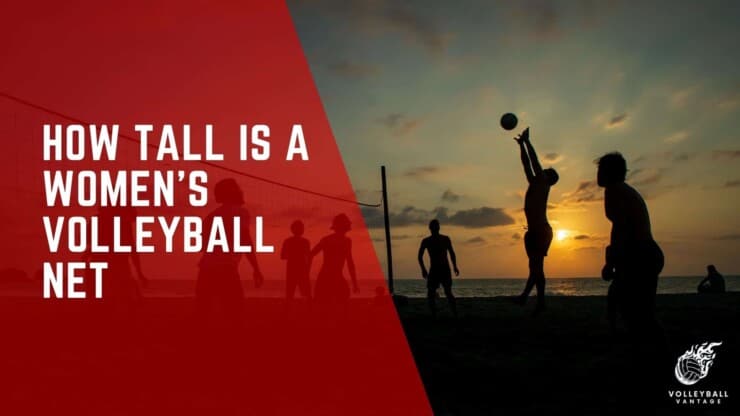 how tall is a women's volleyball net