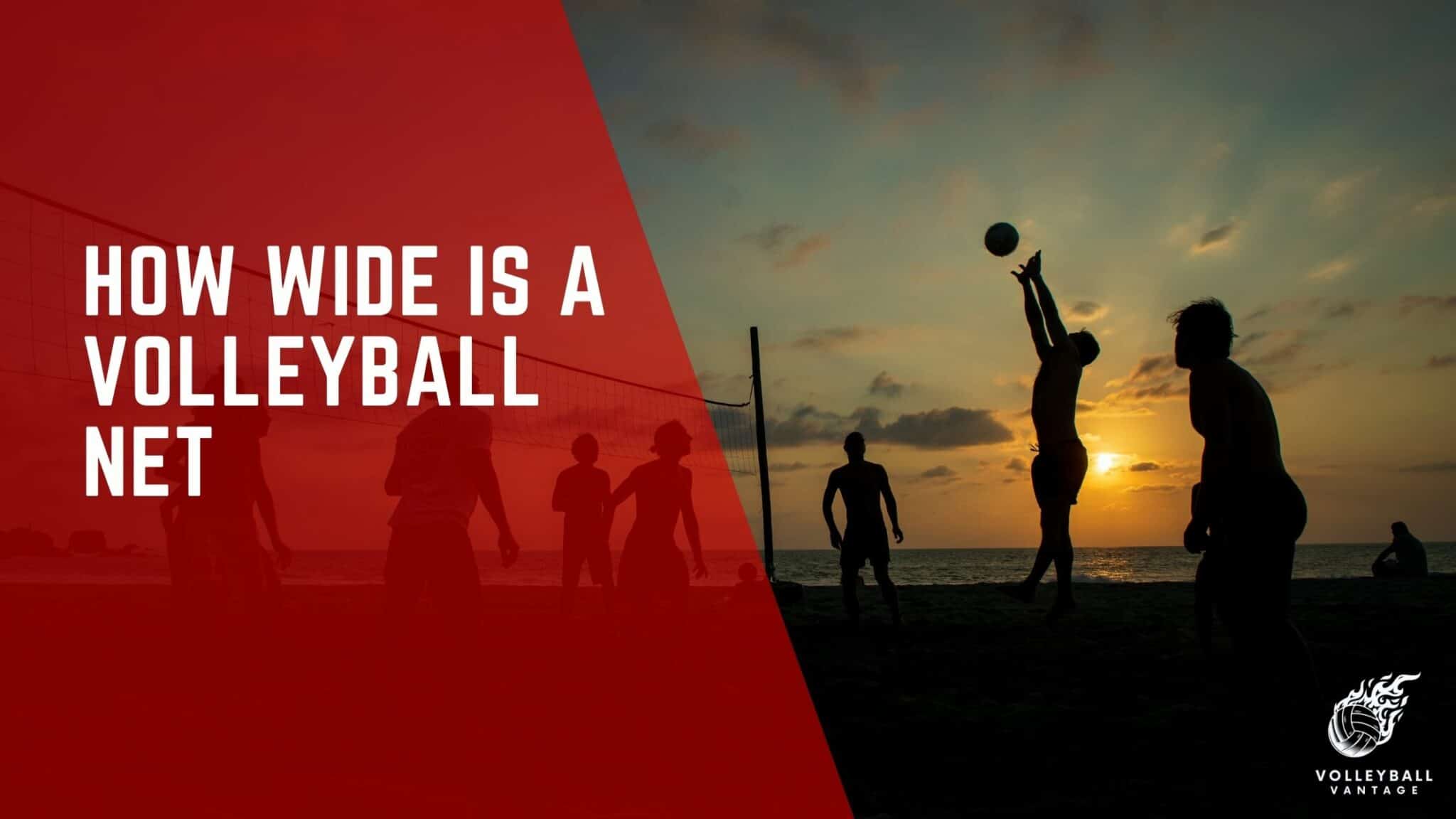 Understanding the Dimensions How Wide is a Volleyball Net