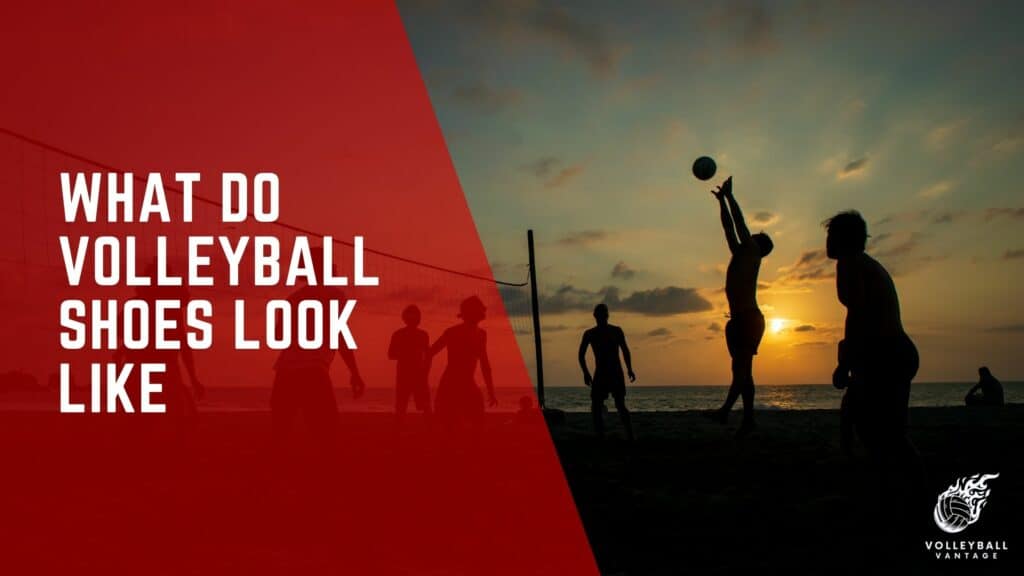 What Do Volleyball Shoes Look Like A Comprehensive Guide Volleyball