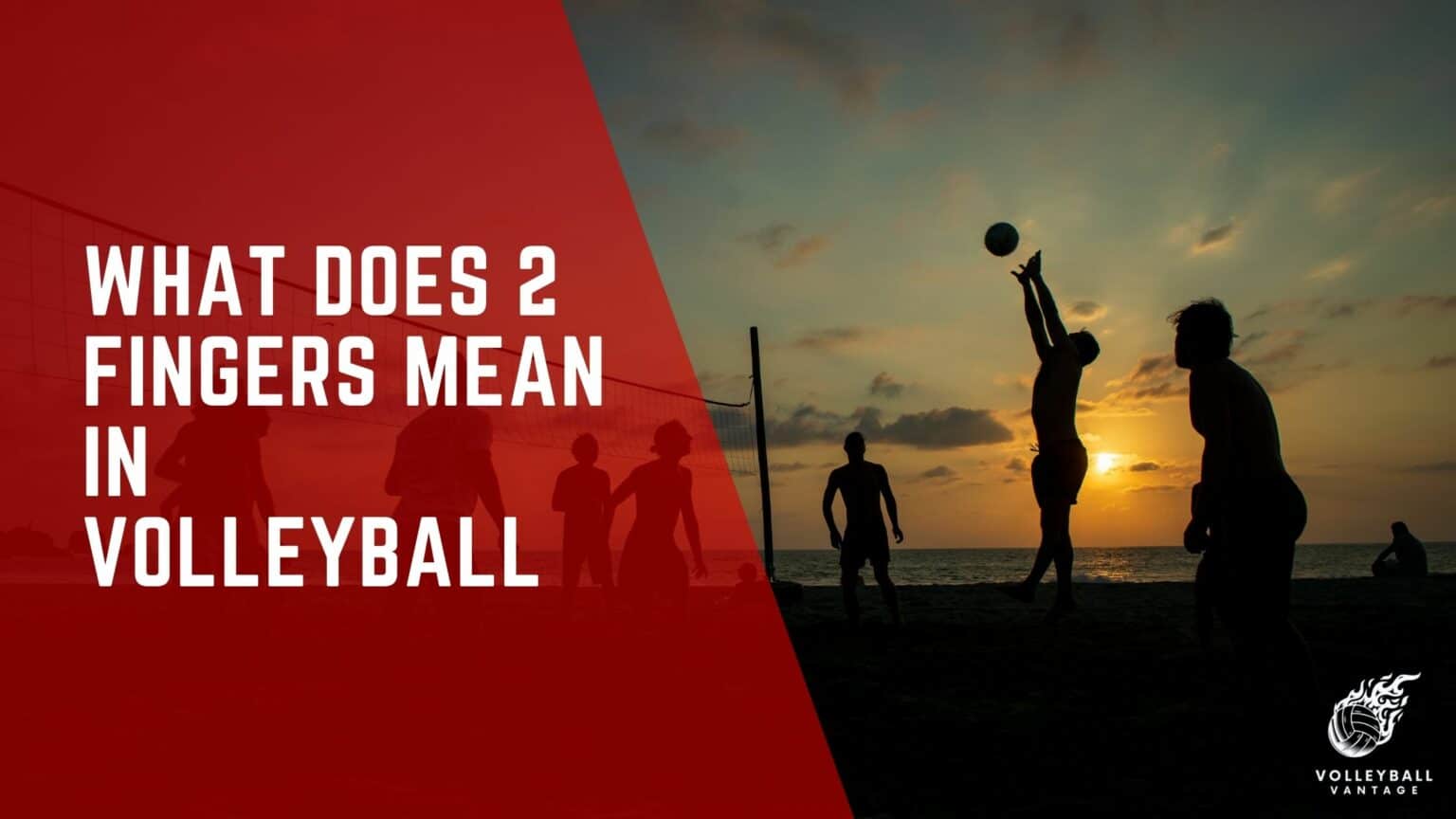 What Does 2 Fingers Mean In Volleyball Signals Explained Volleyball 