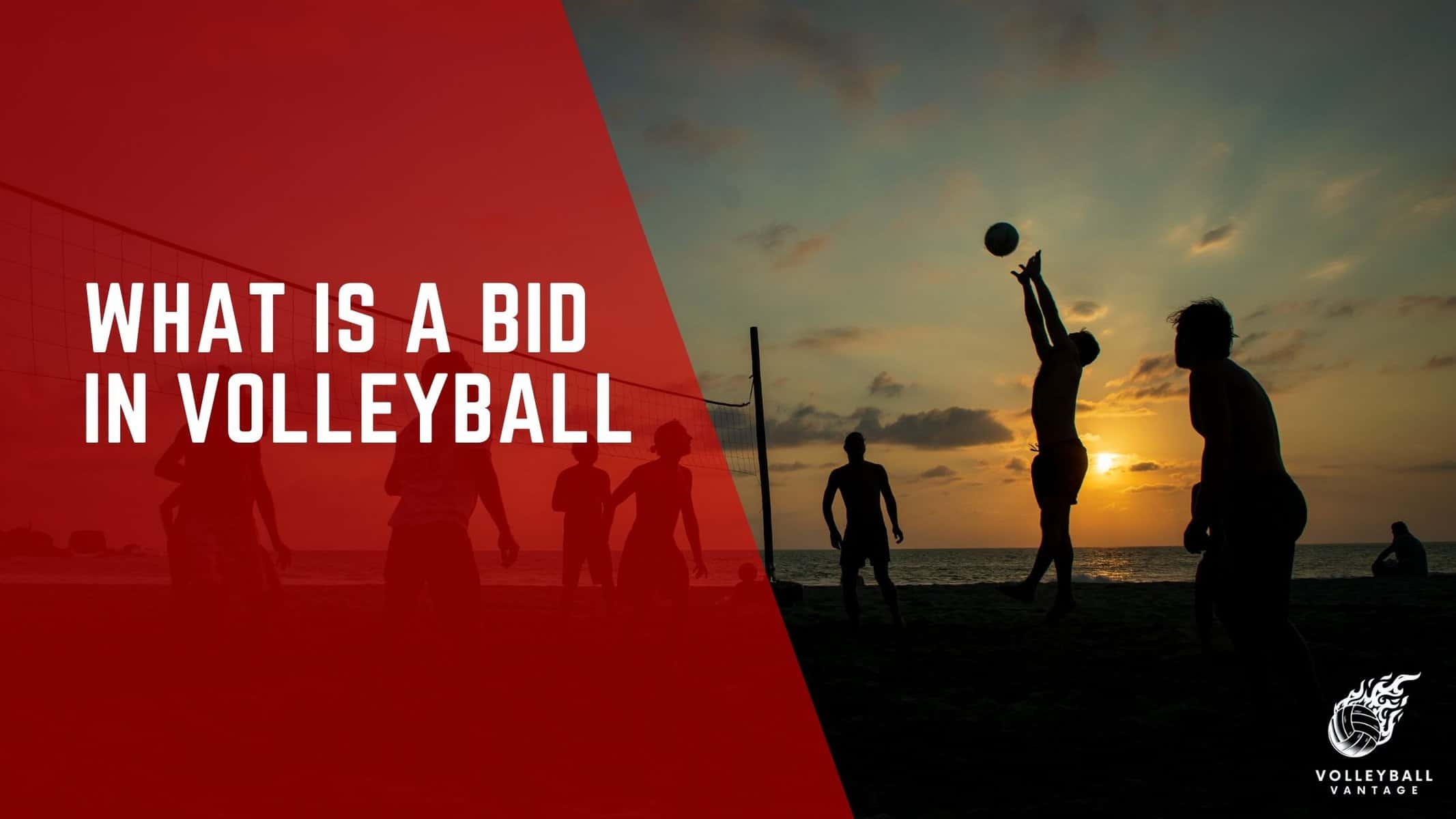 what is a bid in volleyball