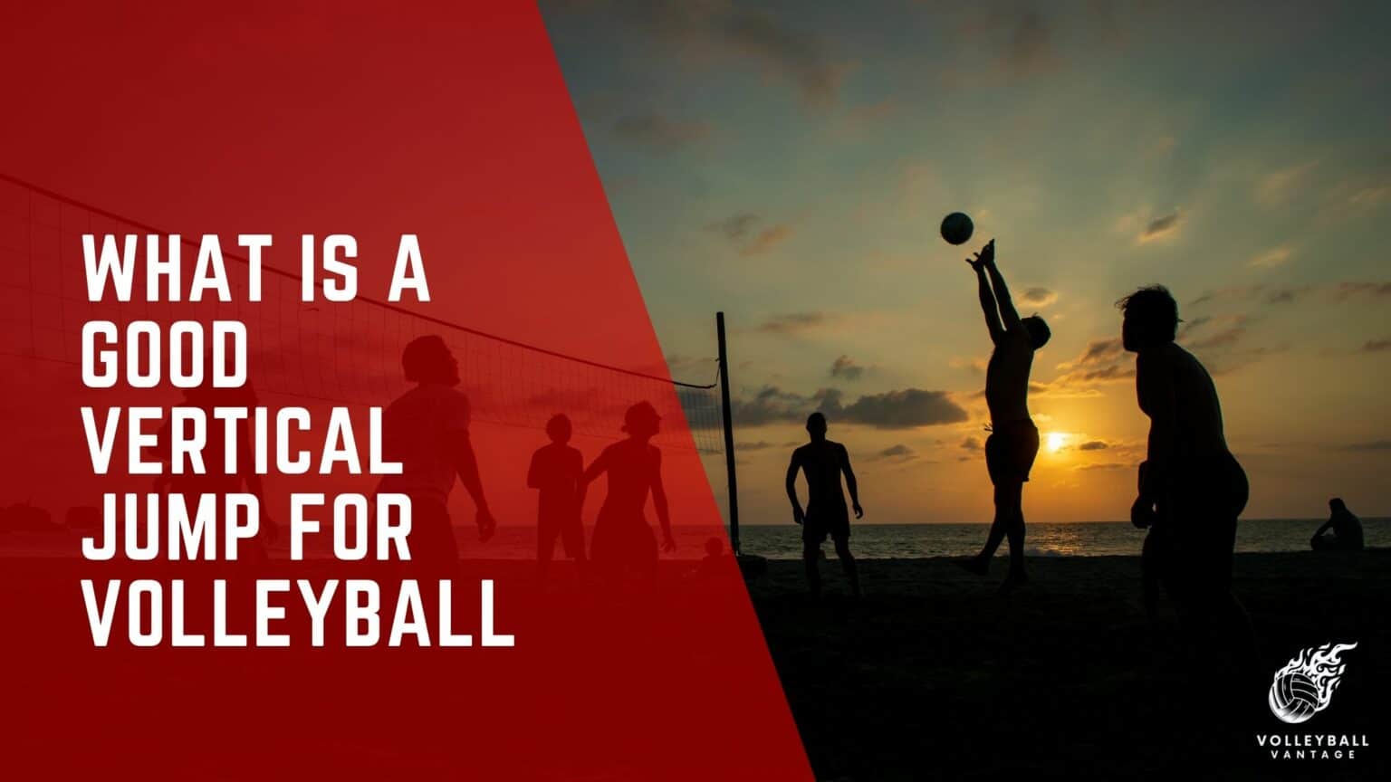 Understanding What Is A Good Vertical Jump For Volleyball Volleyball