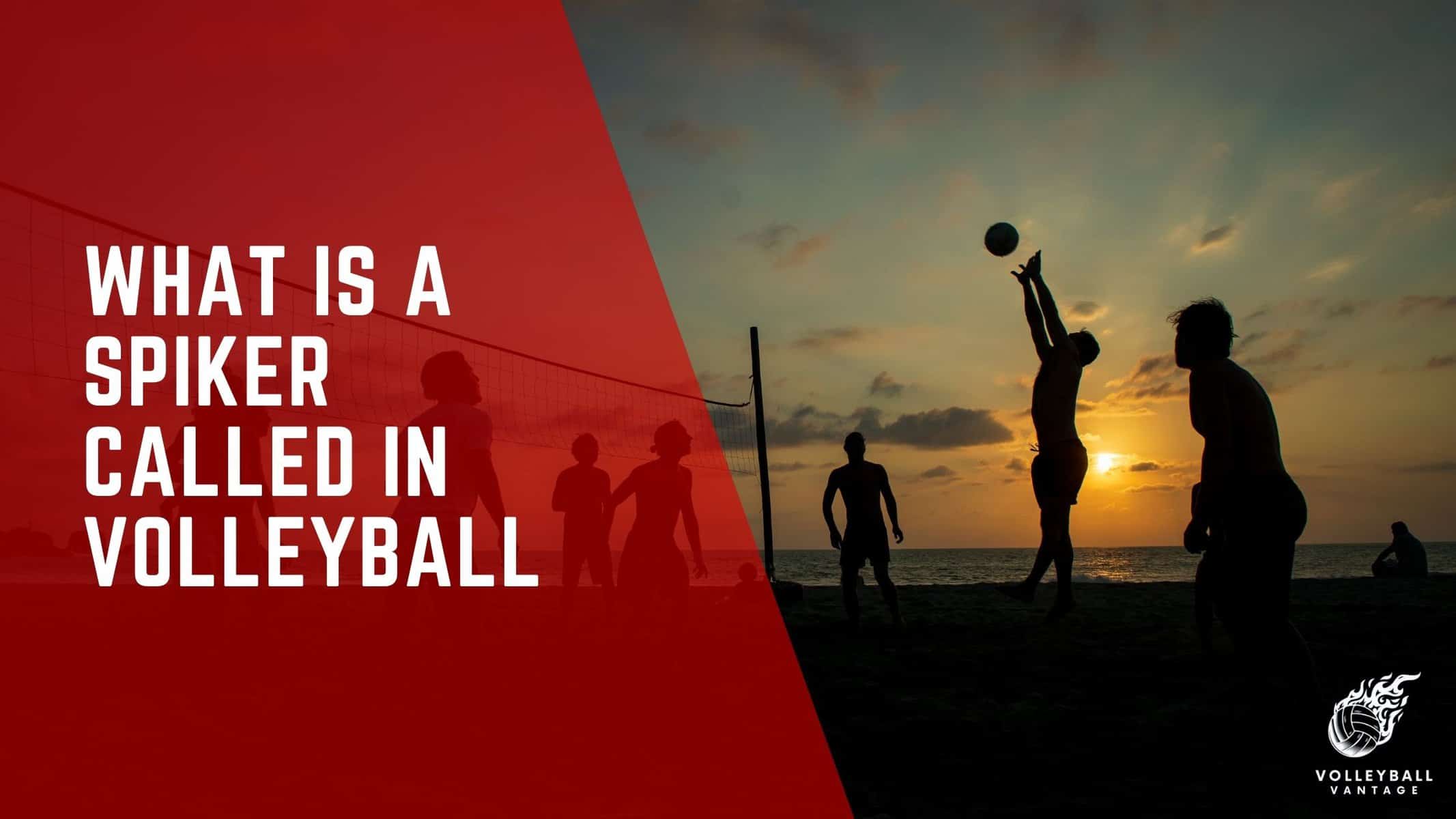 what is a spiker called in volleyball