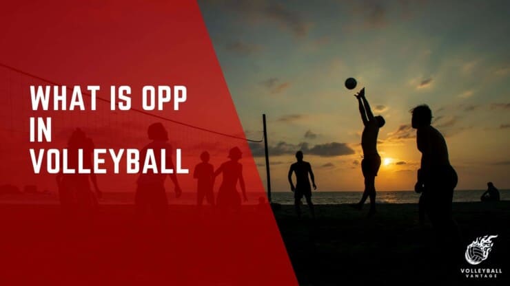 what is opp in volleyball