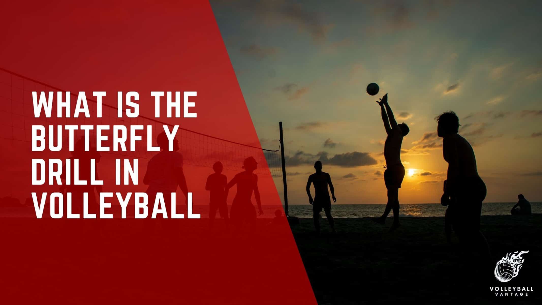 what is the butterfly drill in volleyball