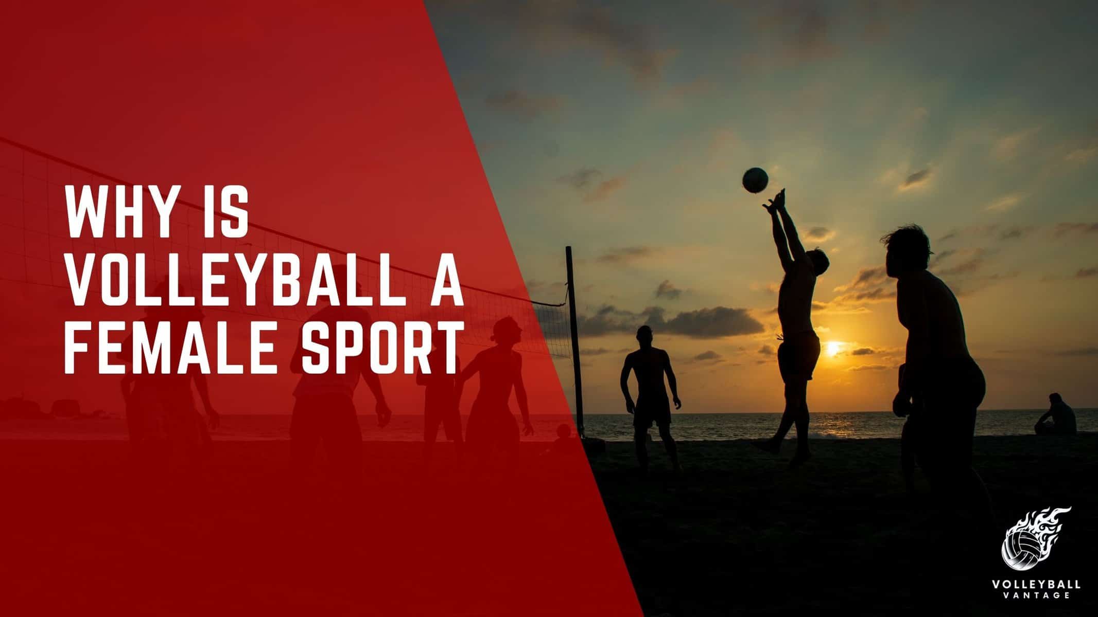 why is volleyball a female sport